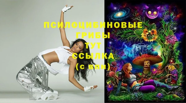 кокаин Новозыбков