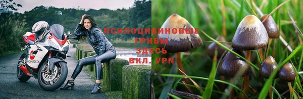 MESCALINE Новокубанск